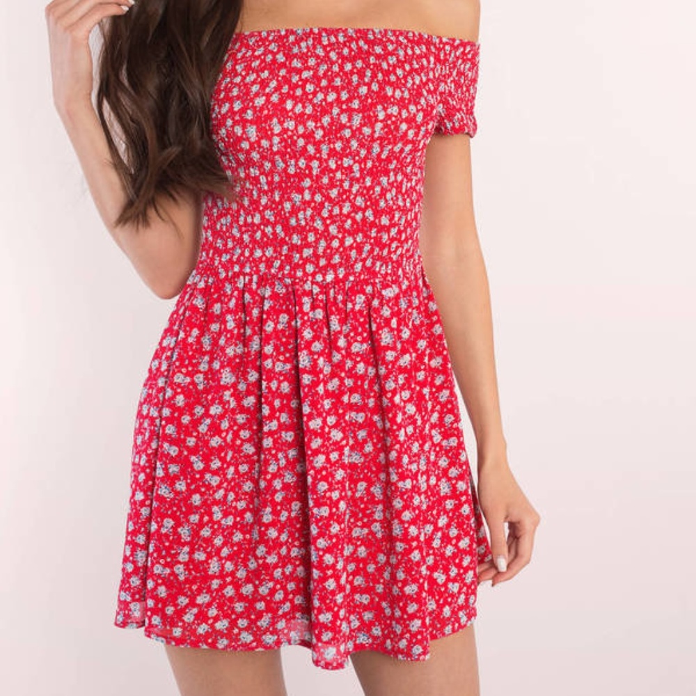 Tobi Joelle Red Multi Floral Skater Dress